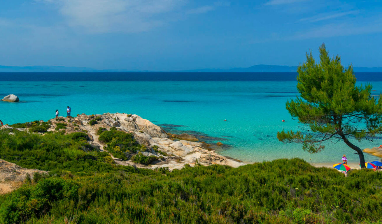 Beach with many pine trees and greenish blue waters