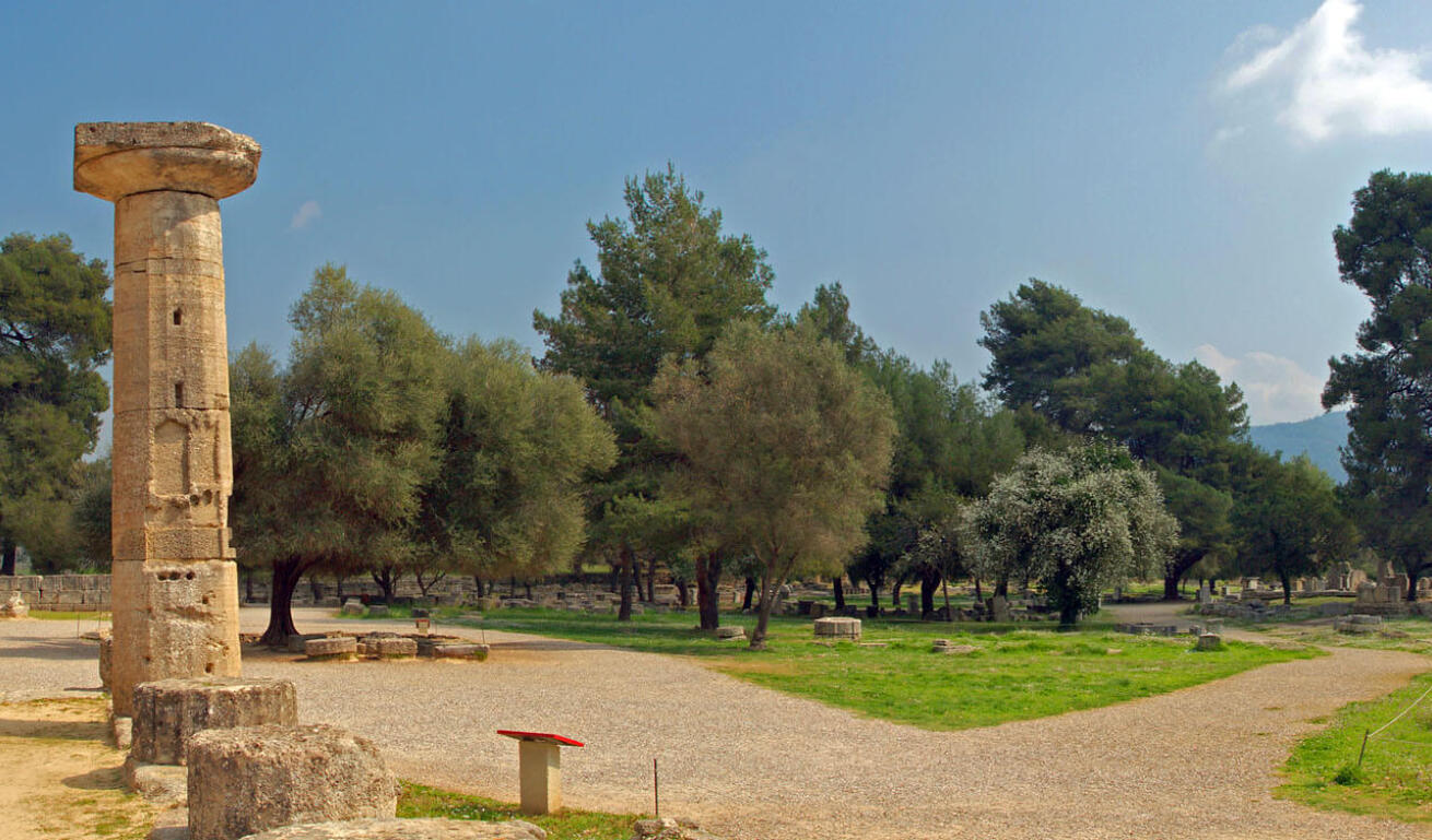 Άποψη του αρχαιολογικού χώρου της αρχαίας Ολυμπίας και στο βάθος πολλά πεύκα