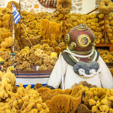 Photo with various sponges collection and a sponge collector uniform