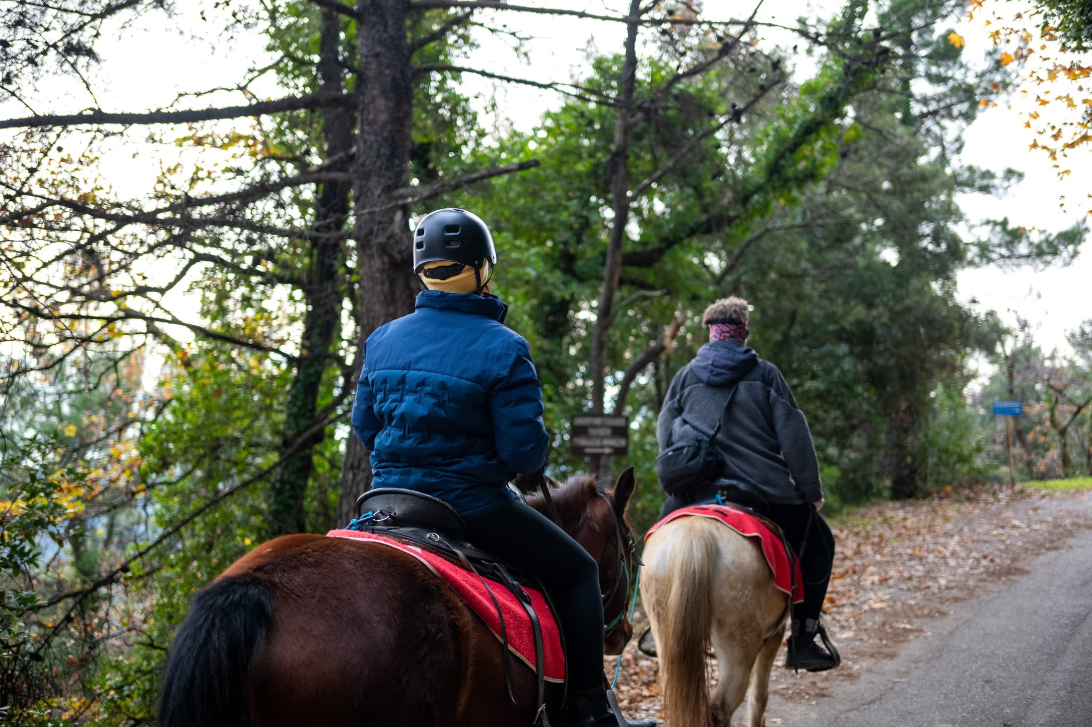 Horse Riding