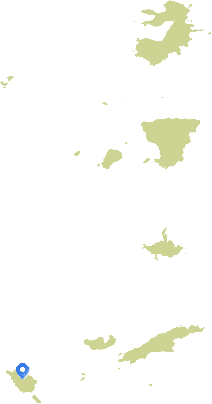 Overview Image