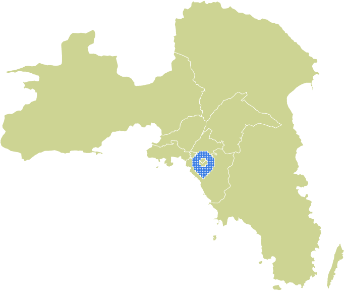 Overview Image