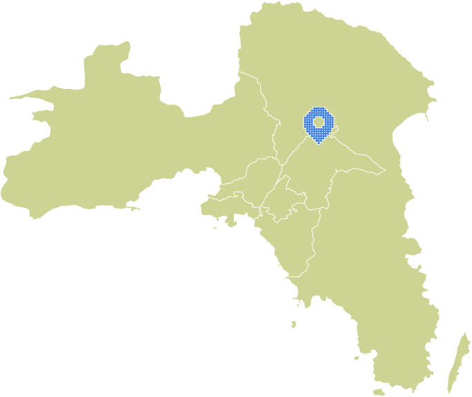 Overview Image