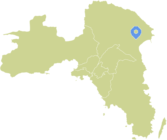 Overview Image