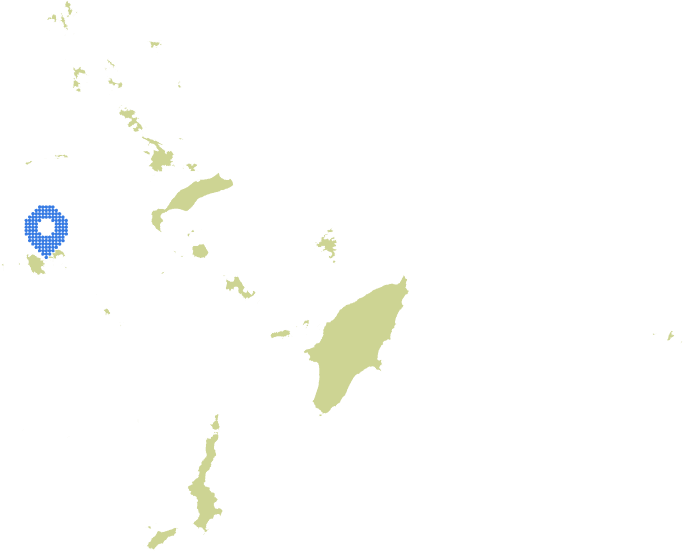 Overview Image
