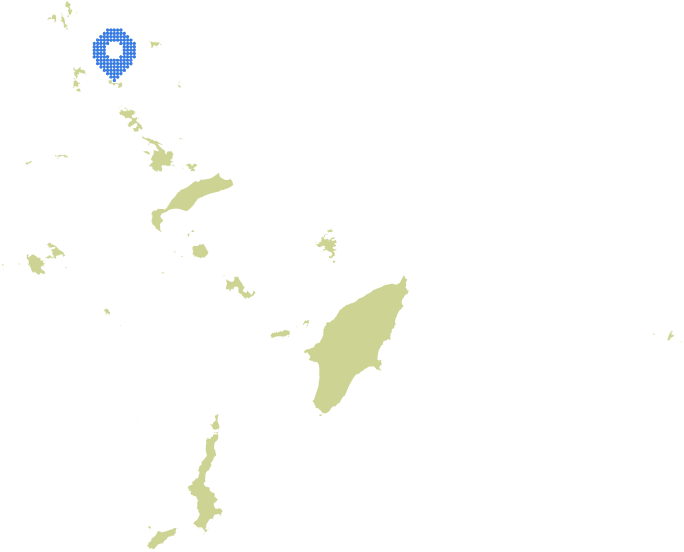 Overview Image