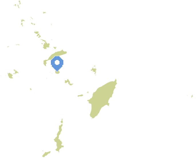 Overview Image