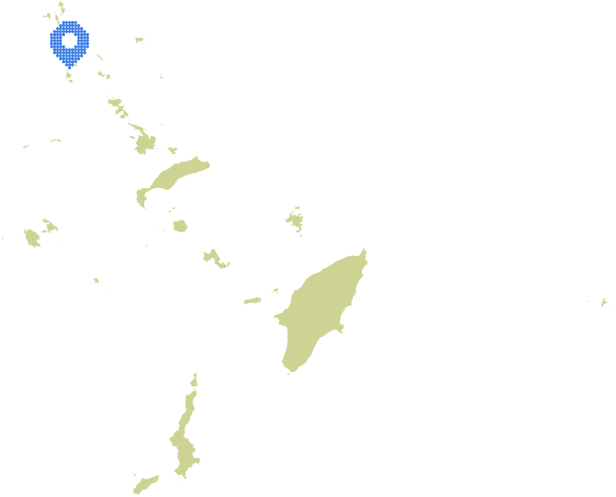 Overview Image