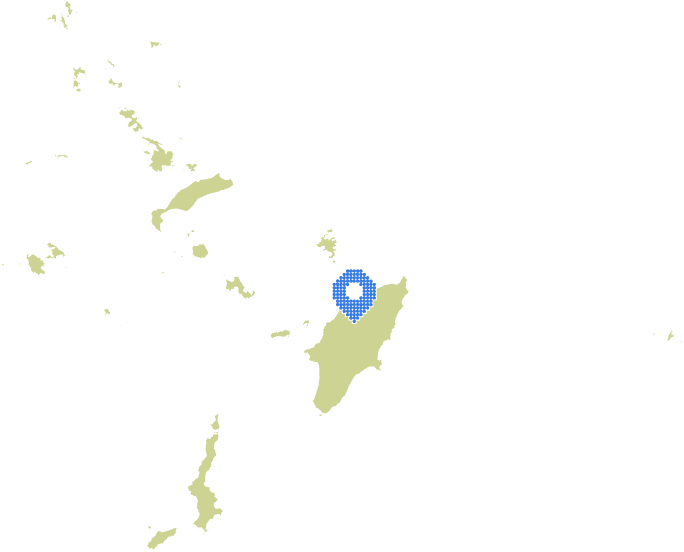 Overview Image