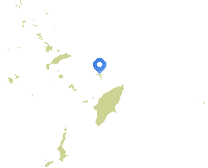 Overview Image