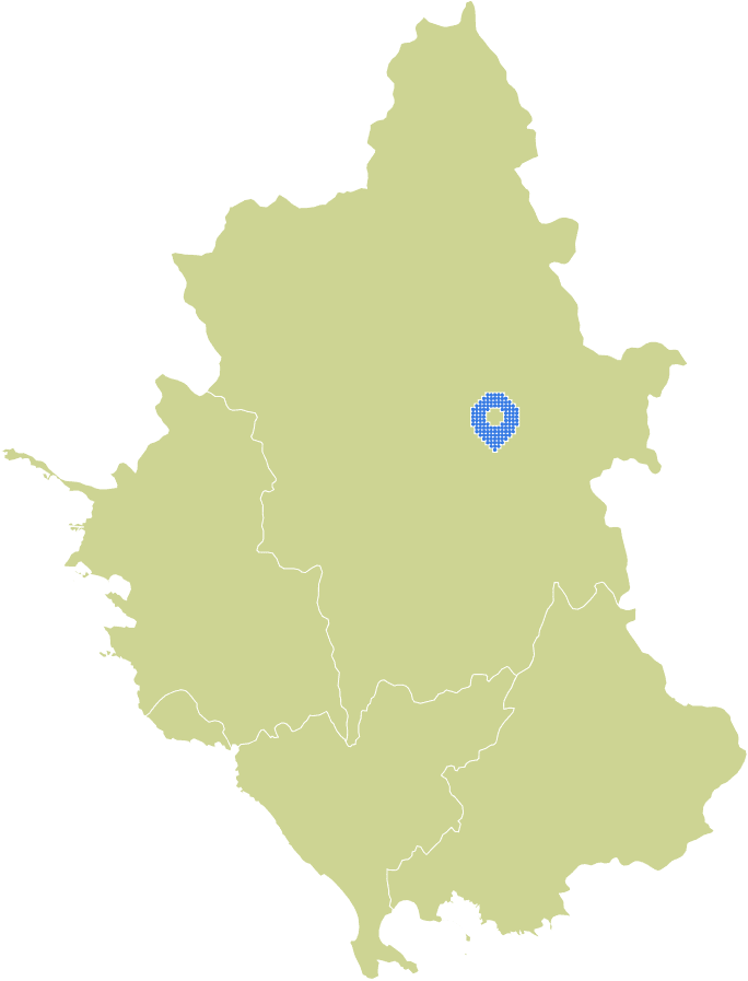 Overview Image