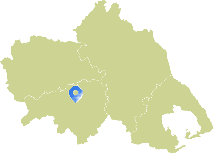 Overview Image