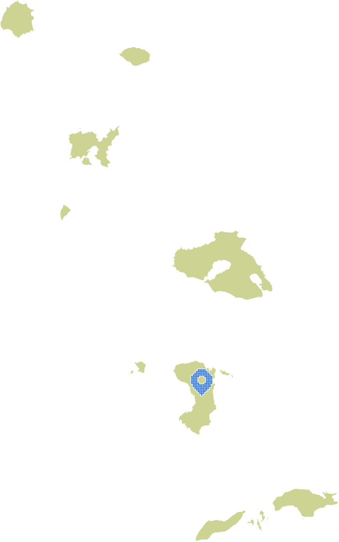 Overview Image