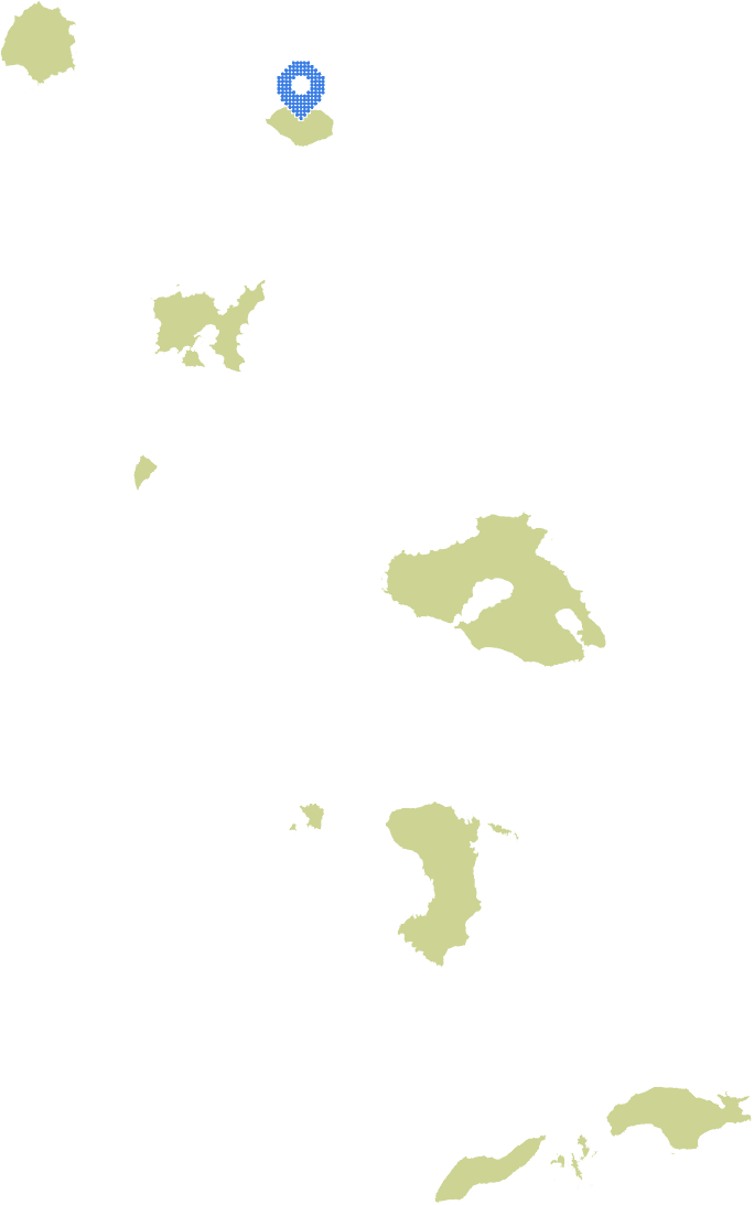 Overview Image