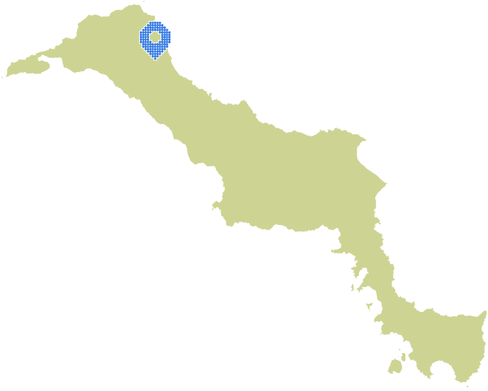 Overview Image