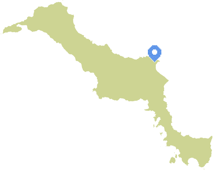 Overview Image