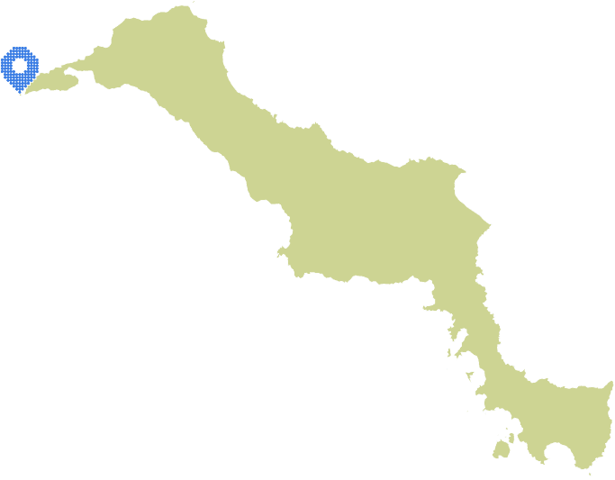 Overview Image