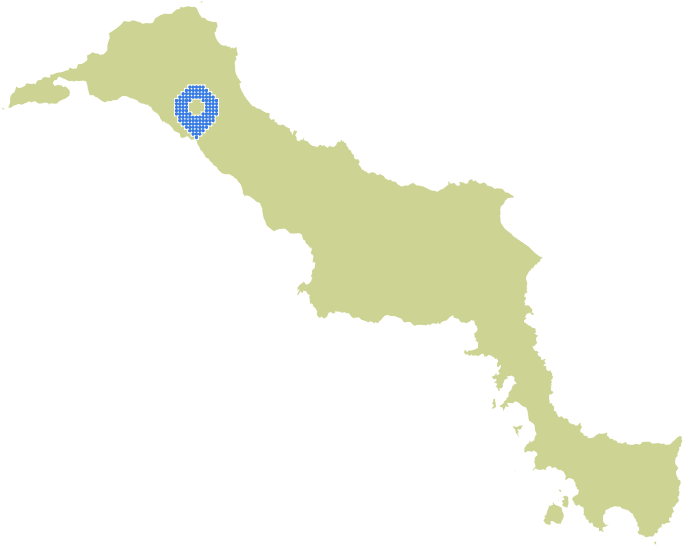 Overview Image