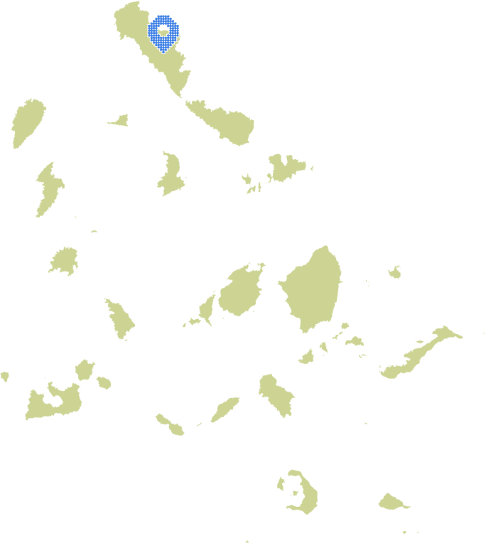 Overview Image