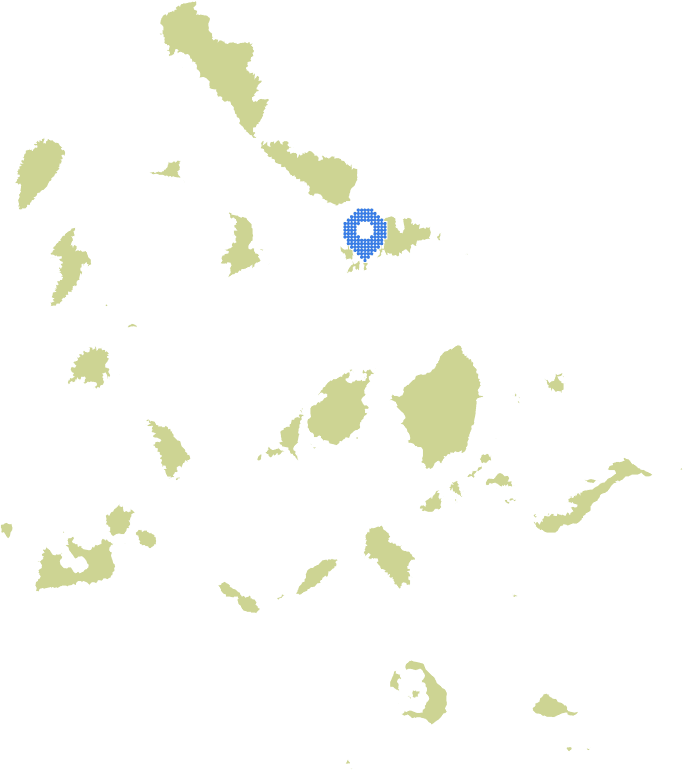 Overview Image