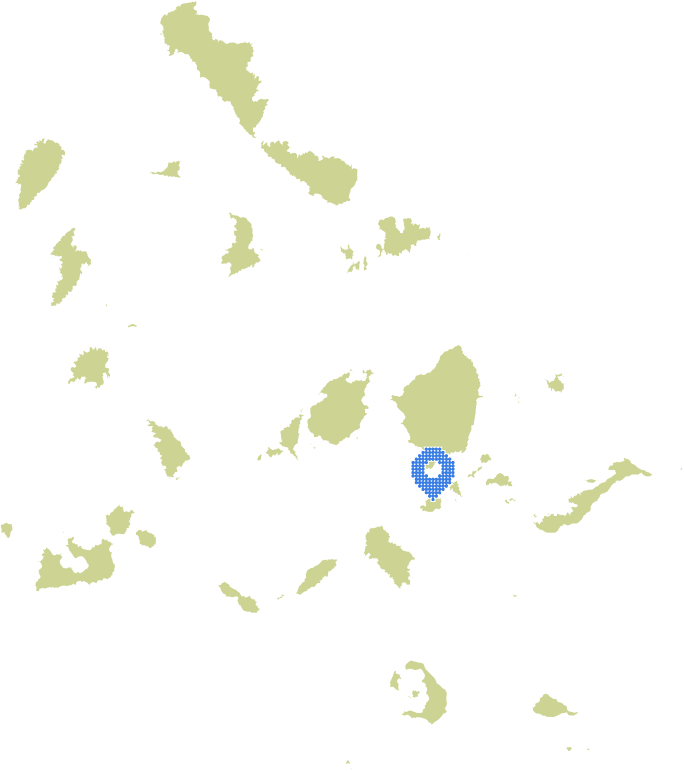 Overview Image