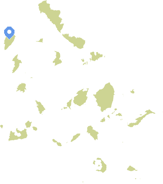 Overview Image