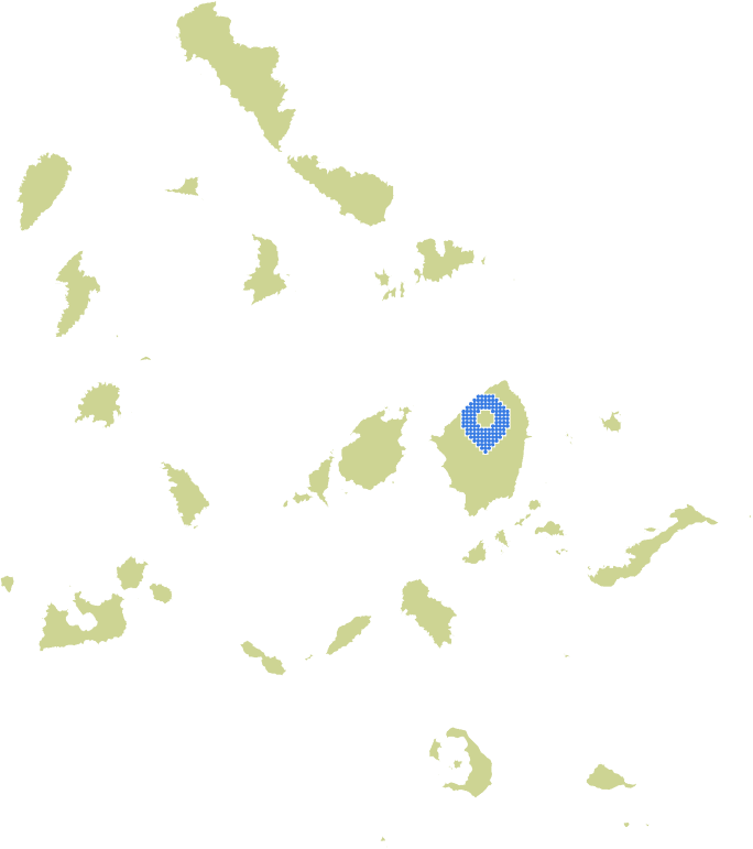 Overview Image