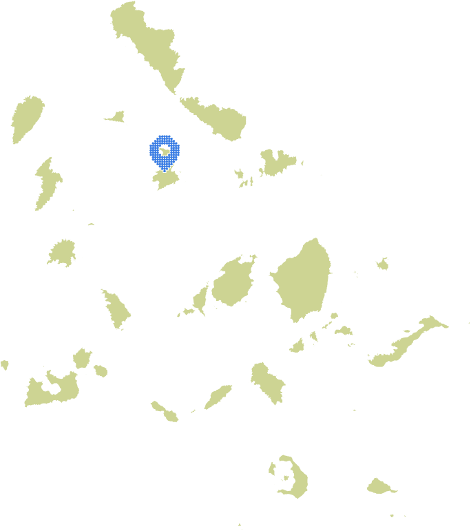 Overview Image