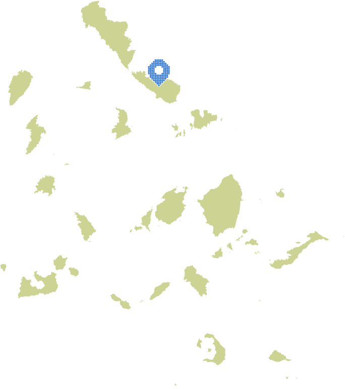Overview Image