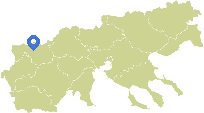 Overview Image