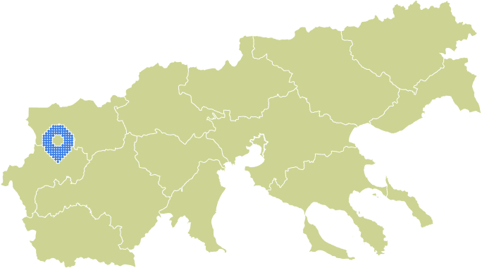 Overview Image