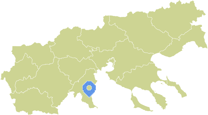 Overview Image