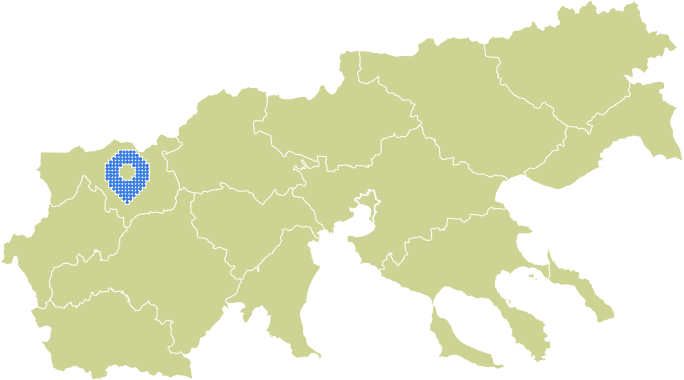 Overview Image