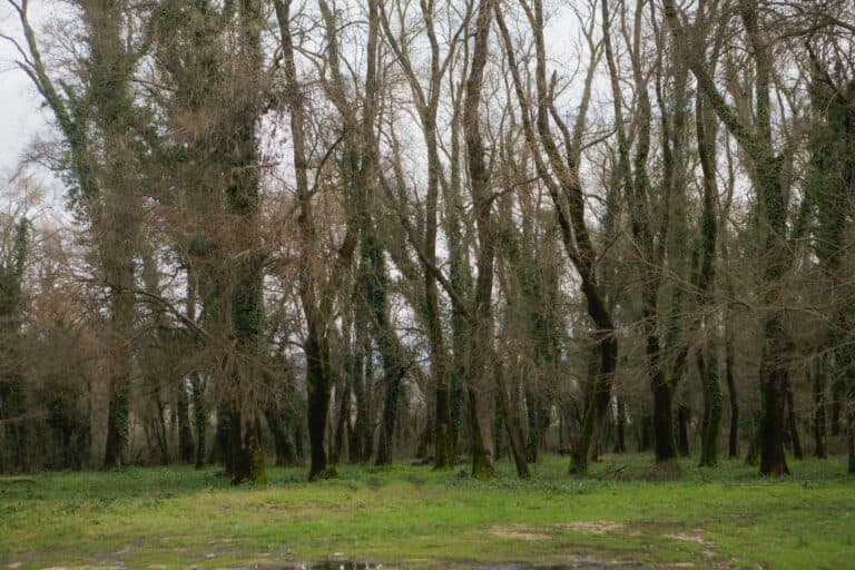 Μονοπάτια στη φύση της Πρέβεζας