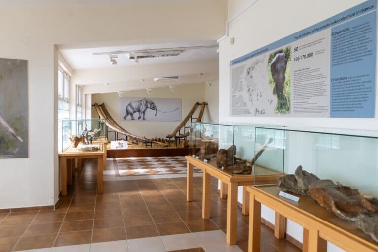 Museos de Grevena