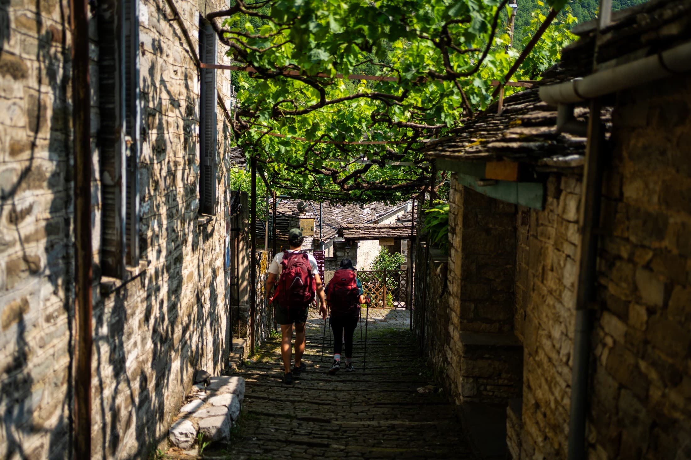 Vacations for action seekers