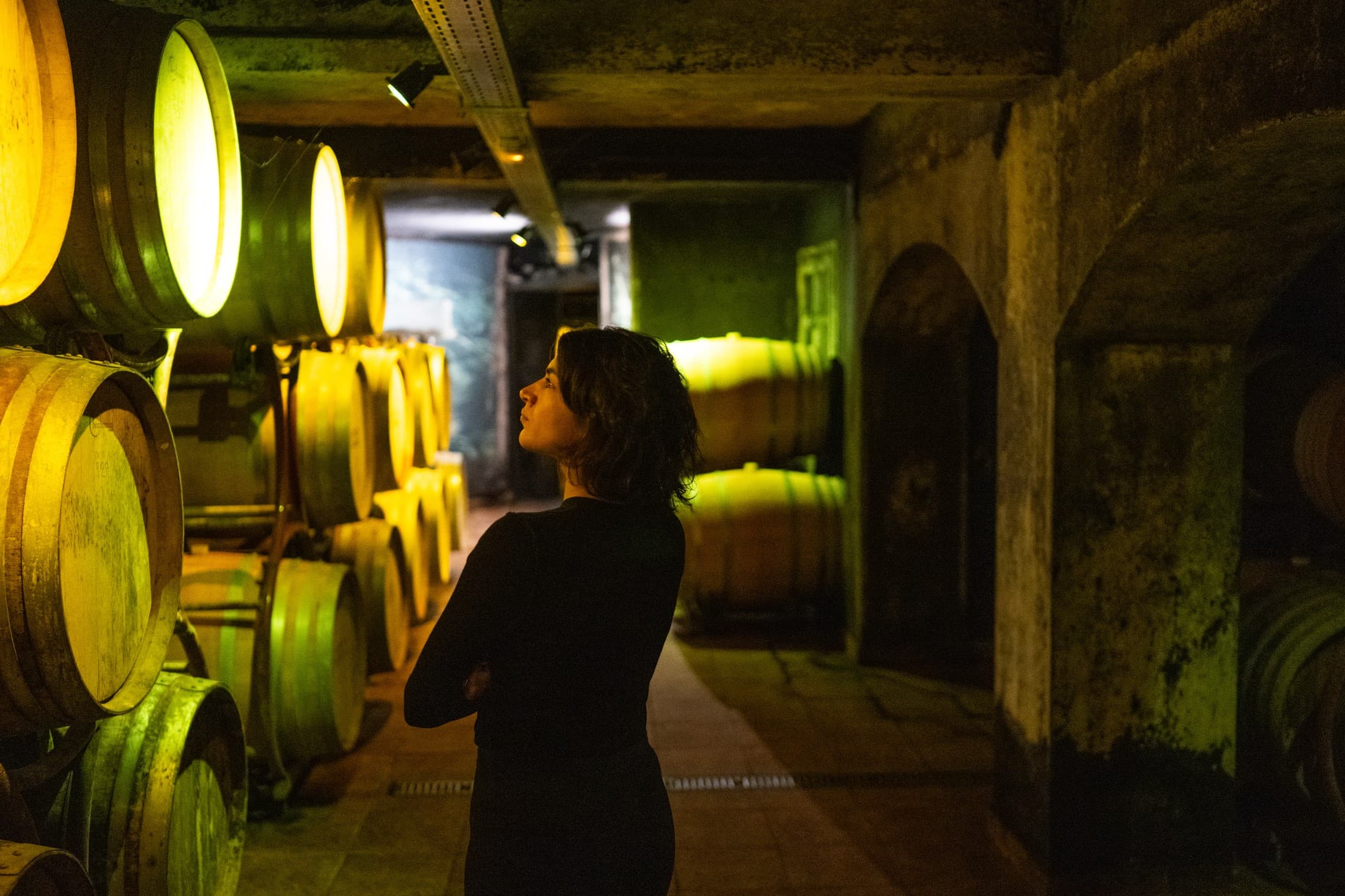 The wines of Epirus