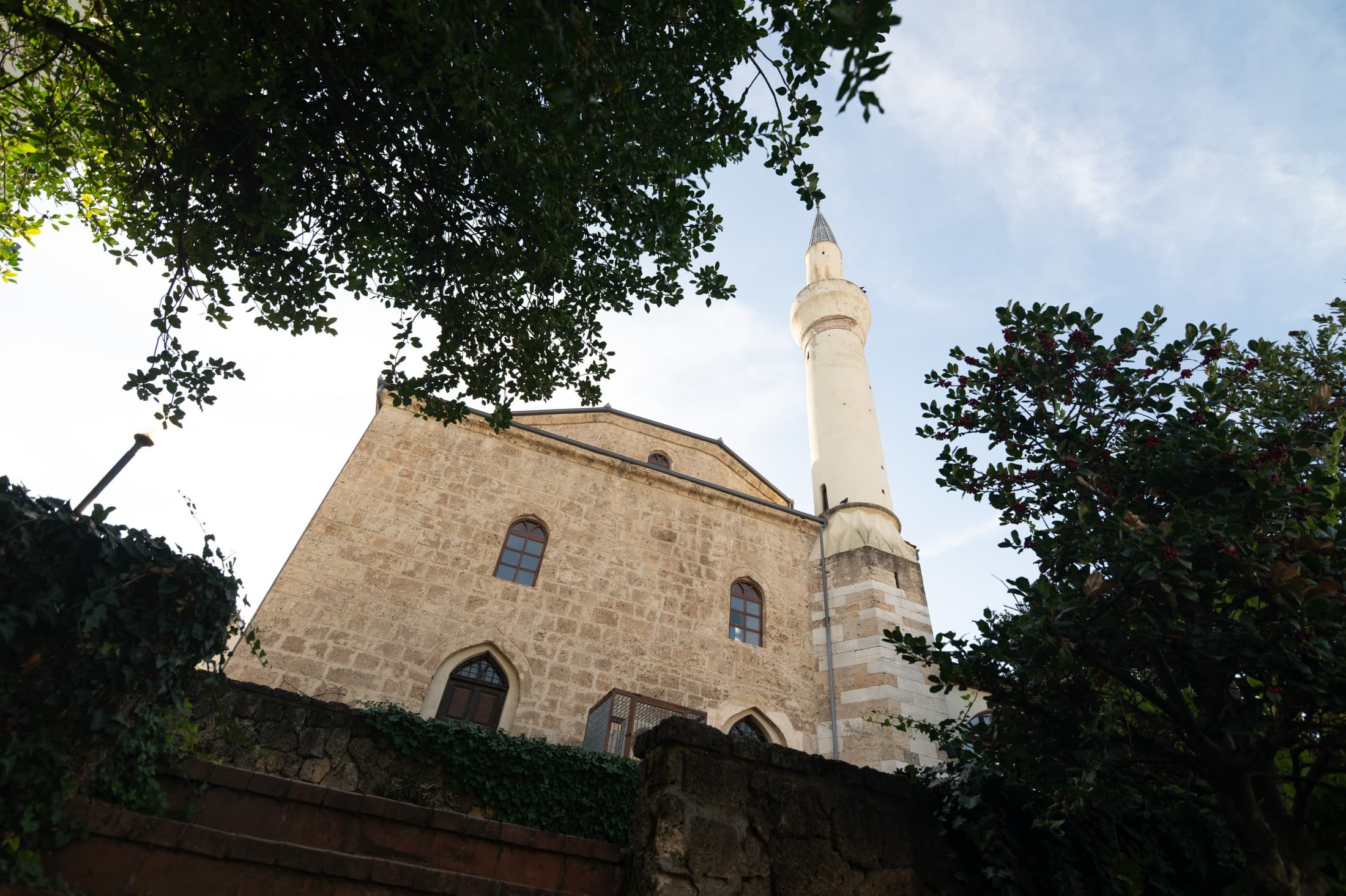 Gallery image