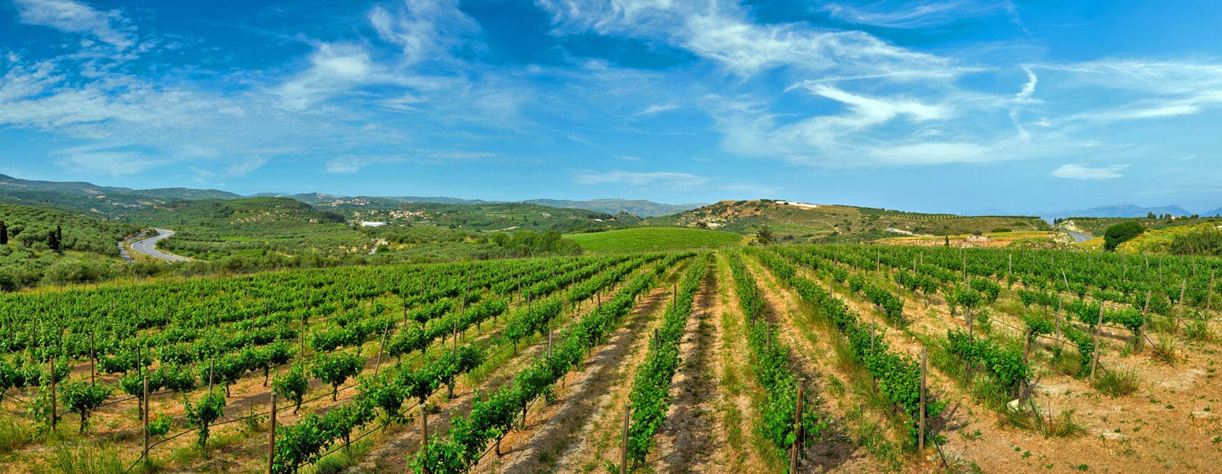 La vigna cretese