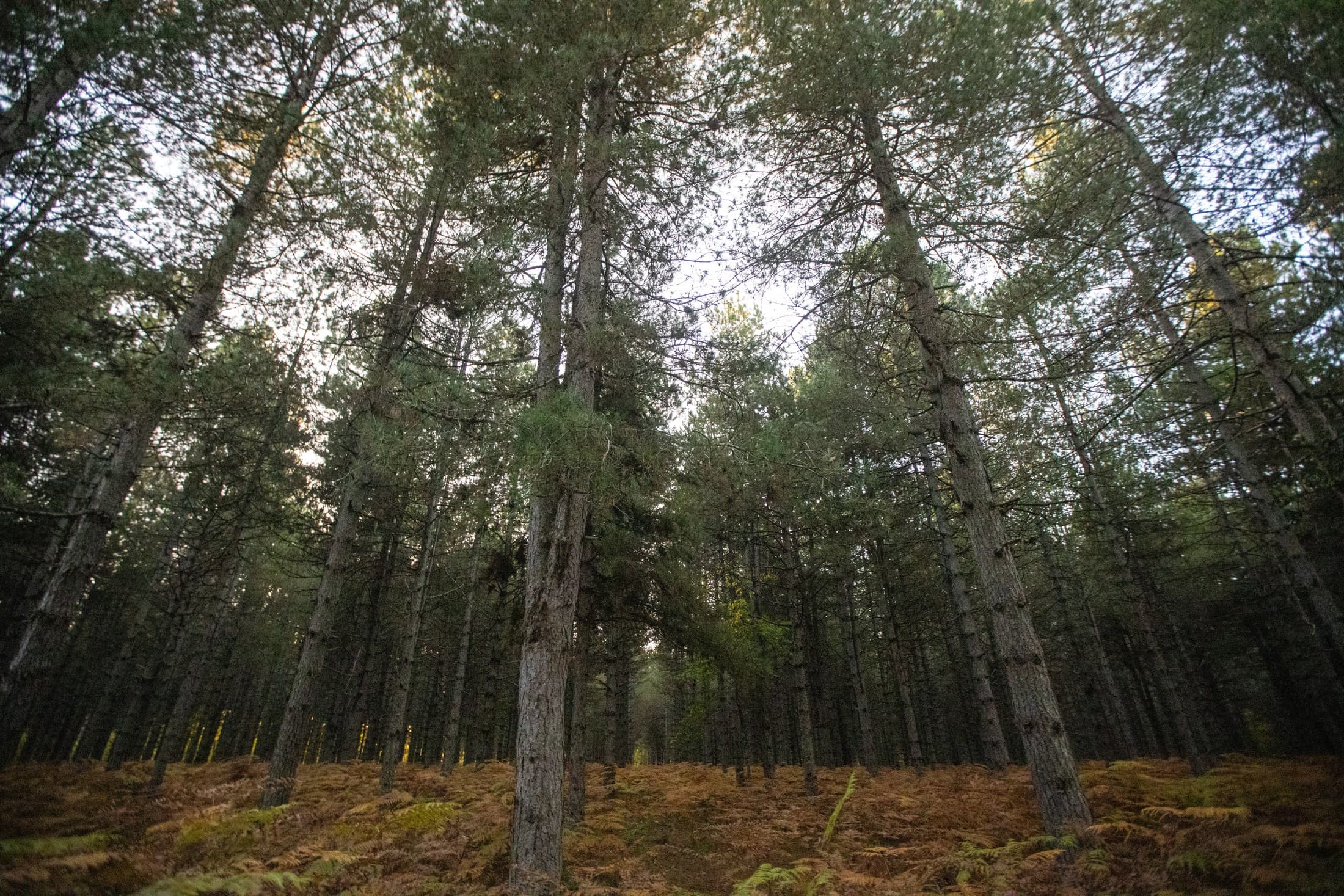 Excursiones al campo snapshot 2
