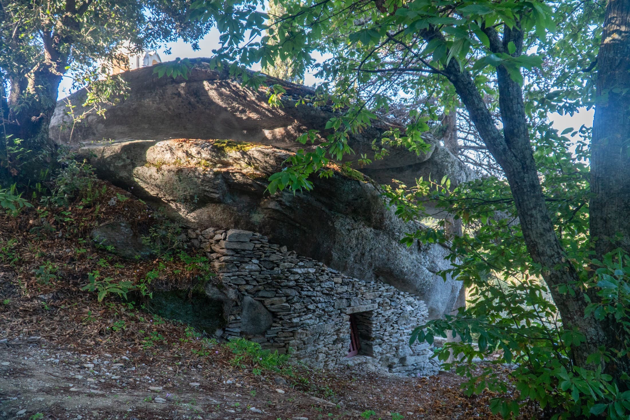 Gallery image