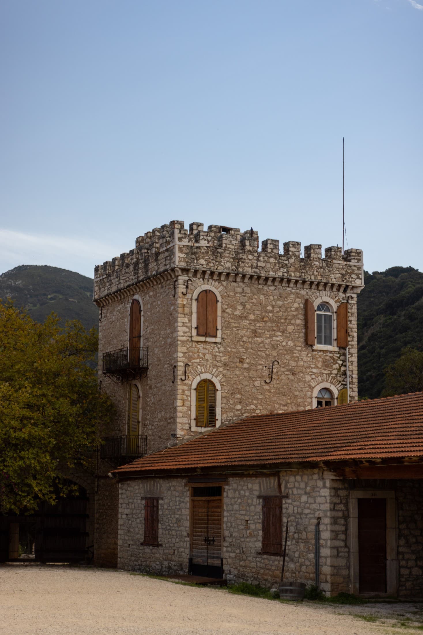 Gallery image