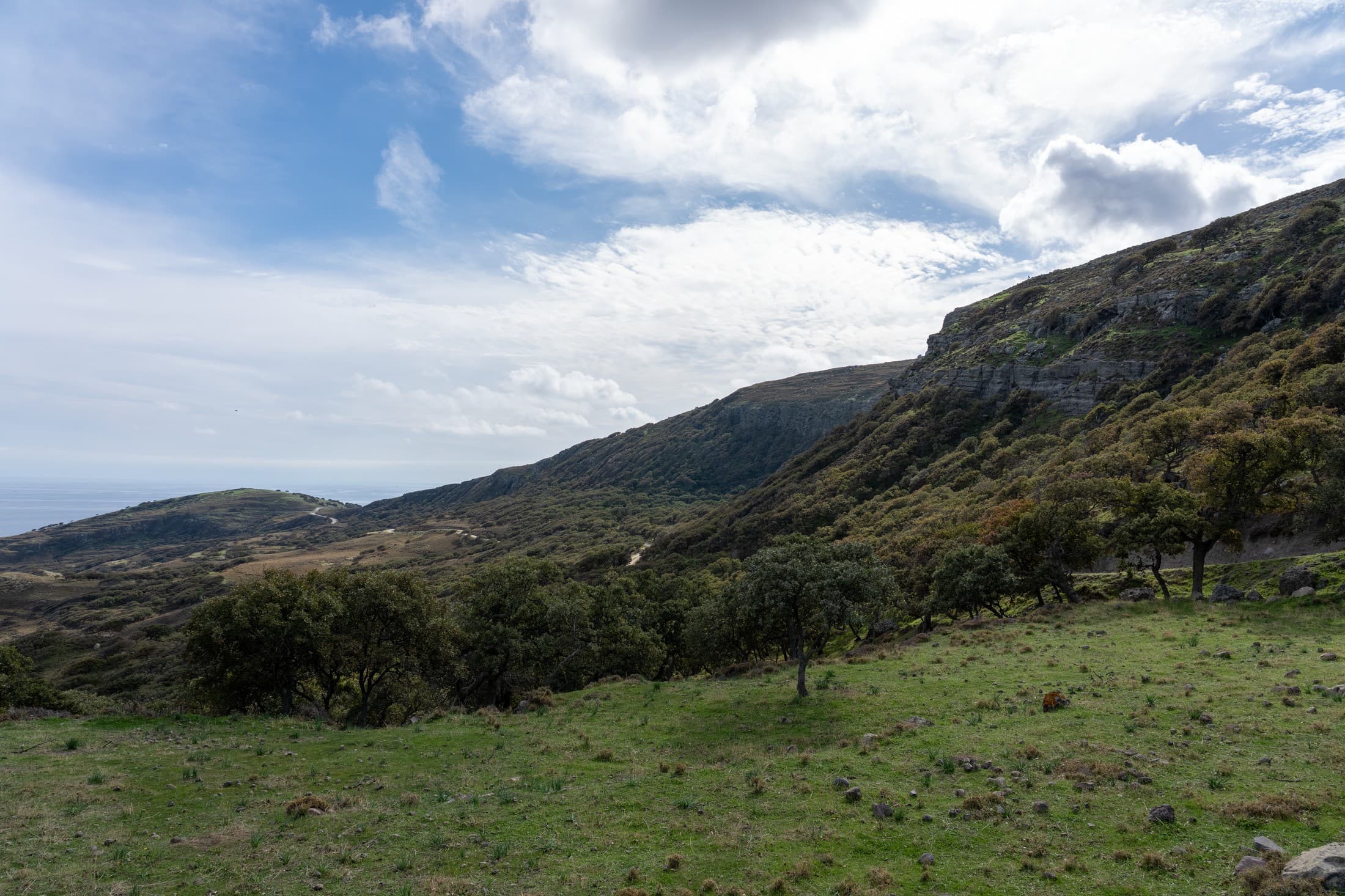 Excursiones al campo snapshot 4