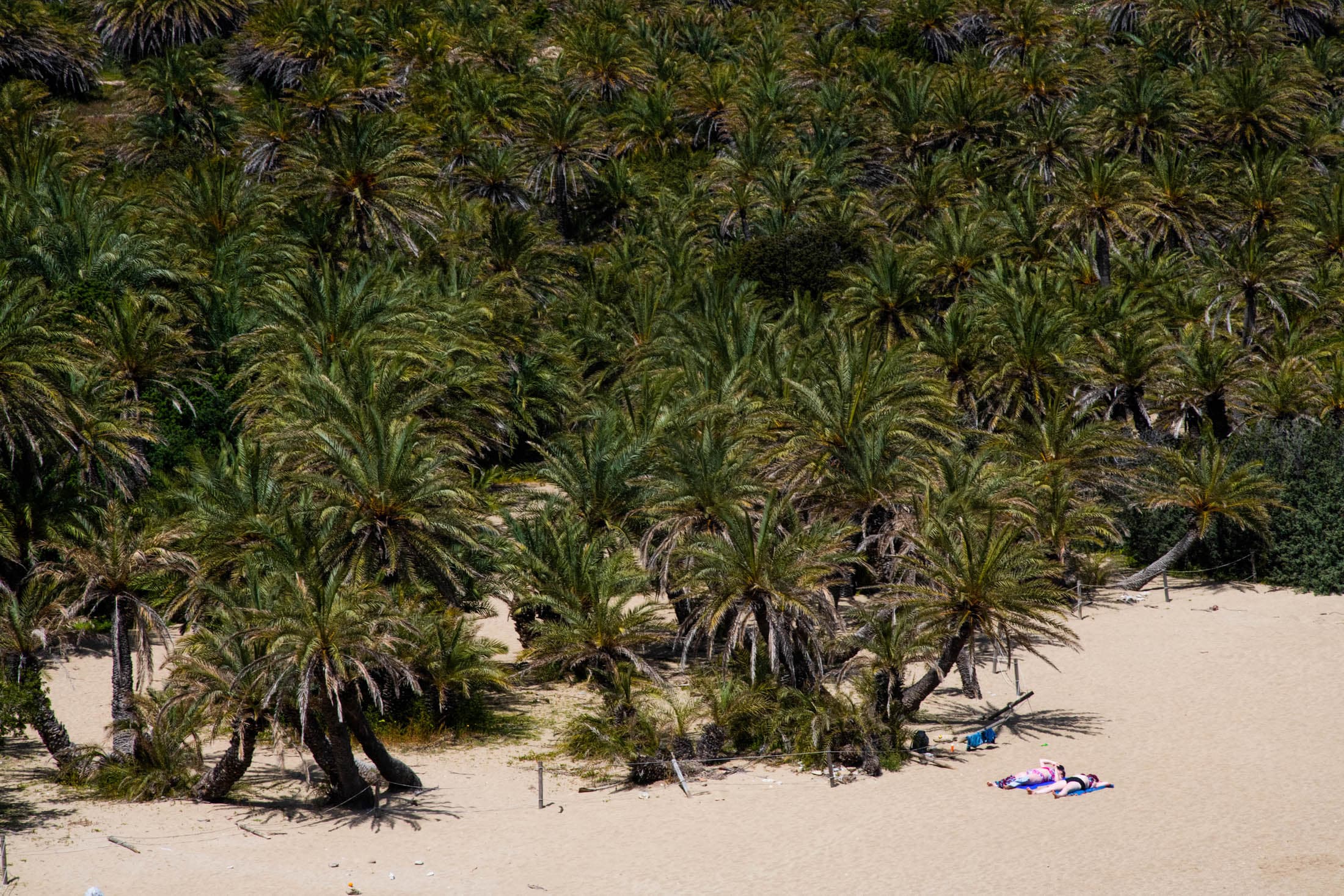 Excursiones al campo snapshot 6