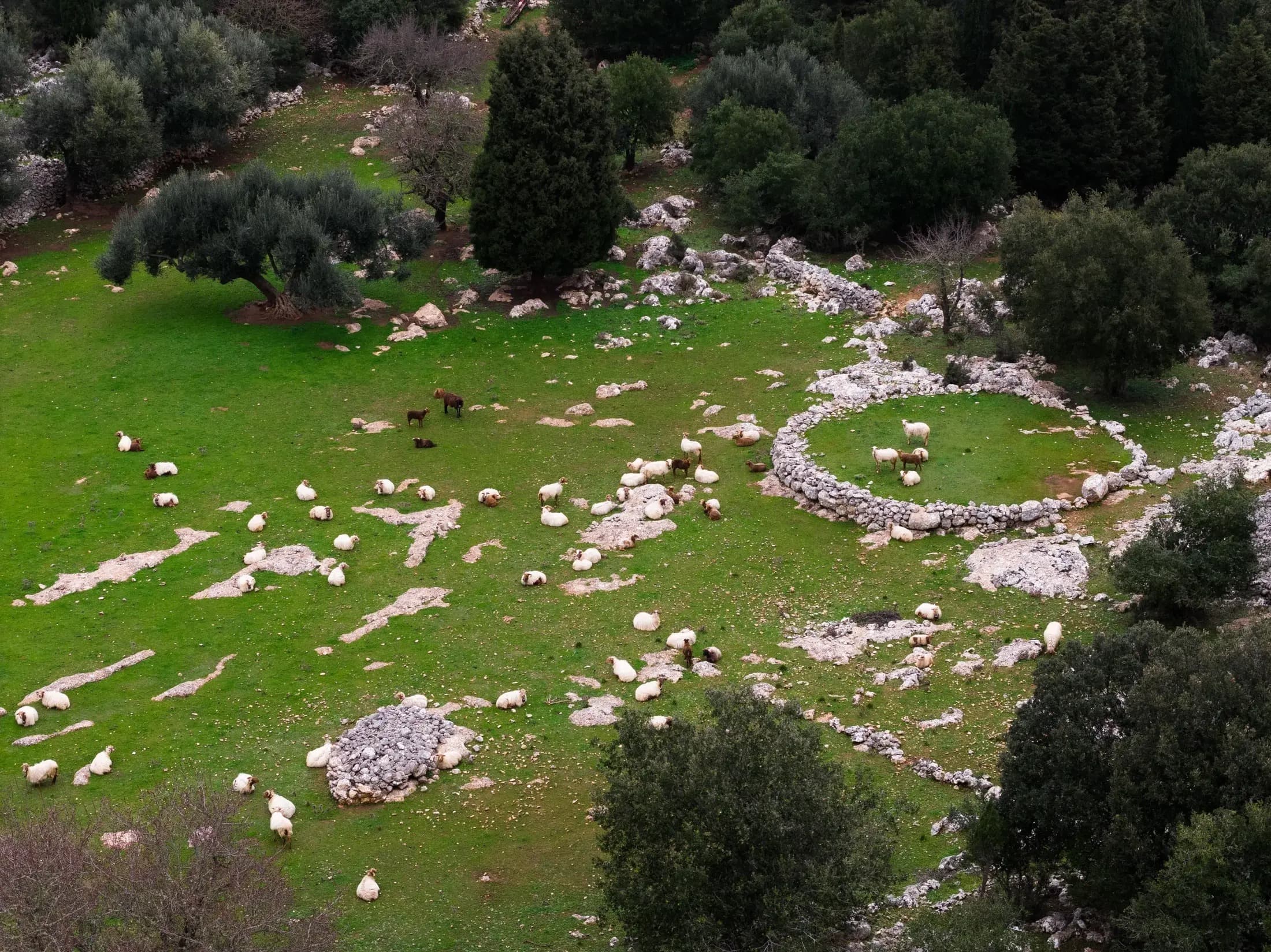 Geoparques