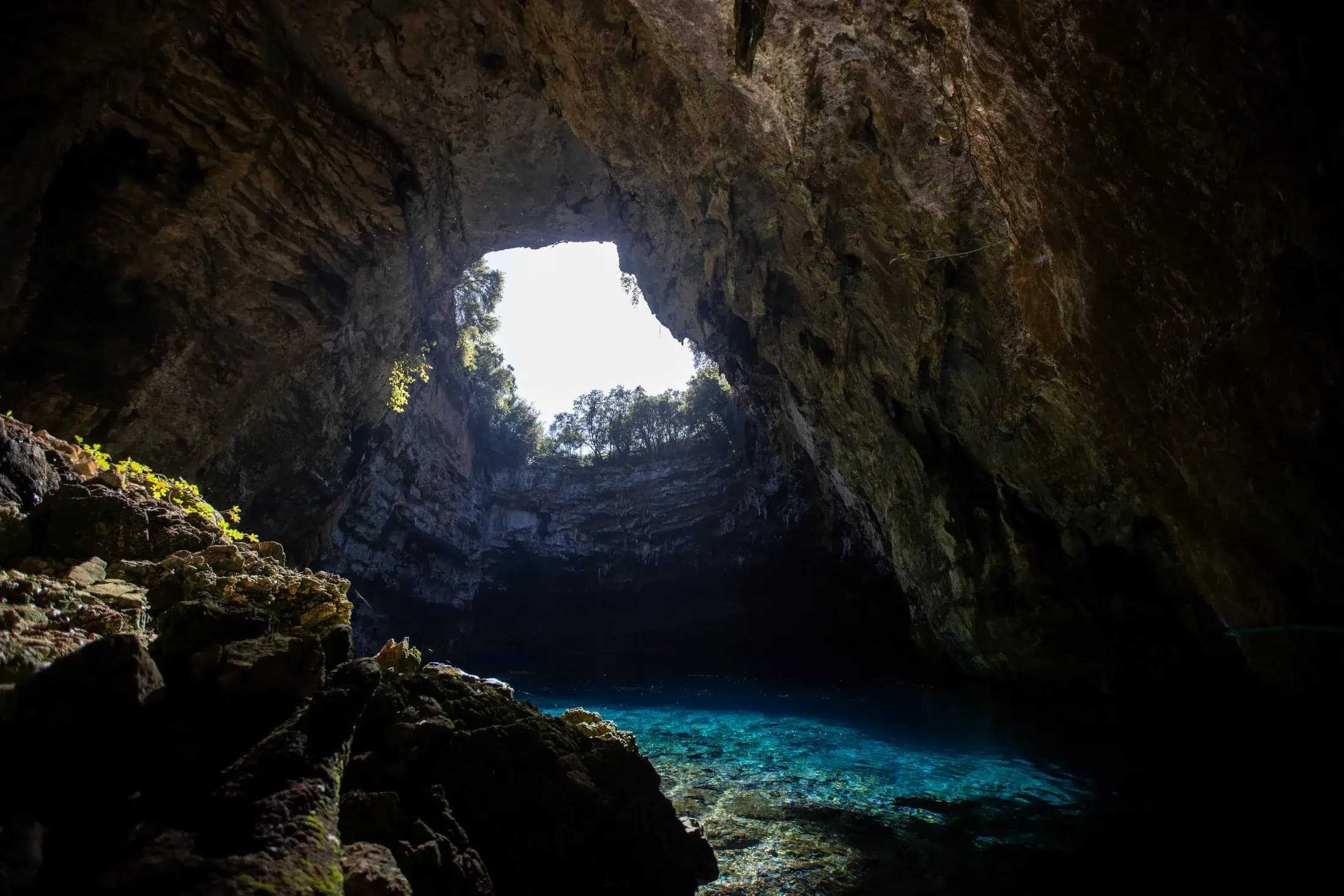 Cuevas