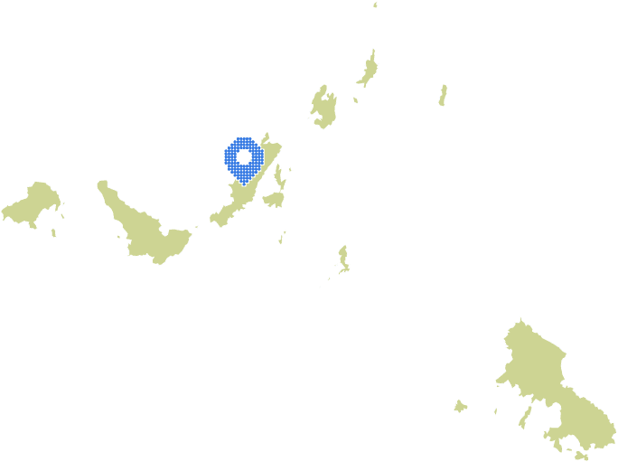 Overview Image