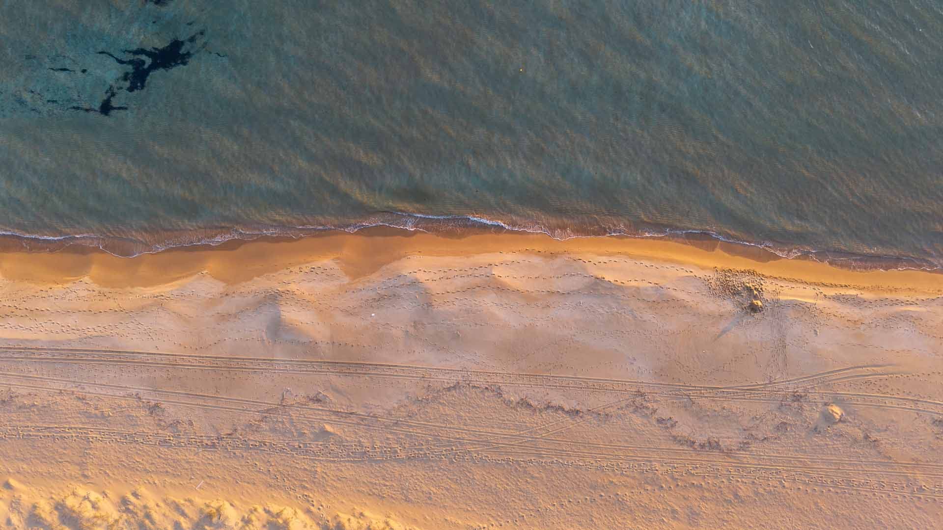 Playas snapshot 8