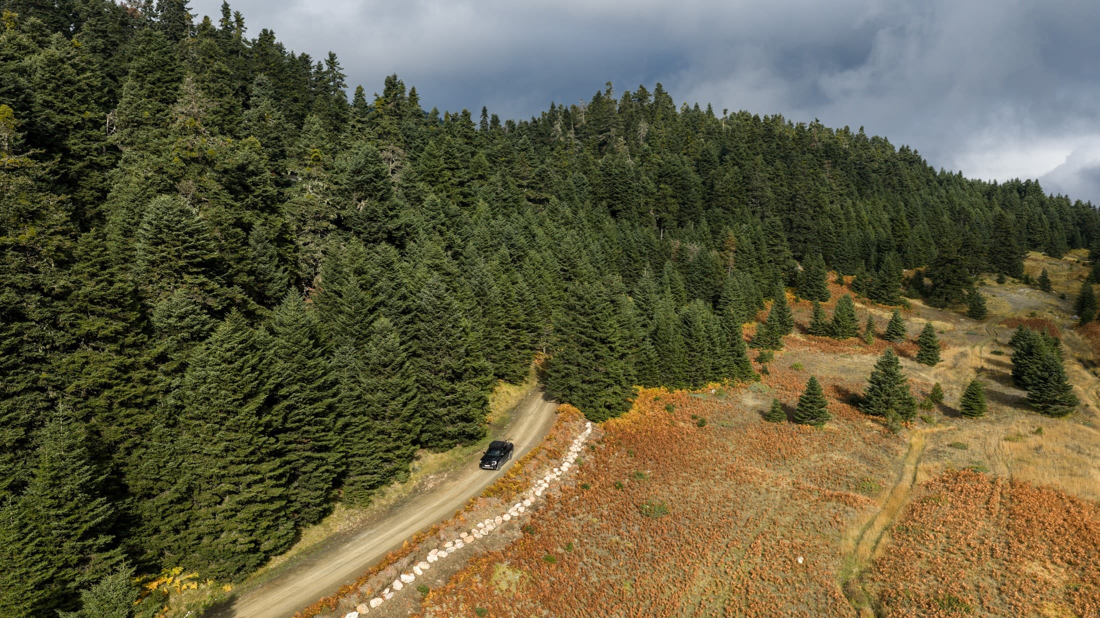 Excursiones al campo snapshot 3