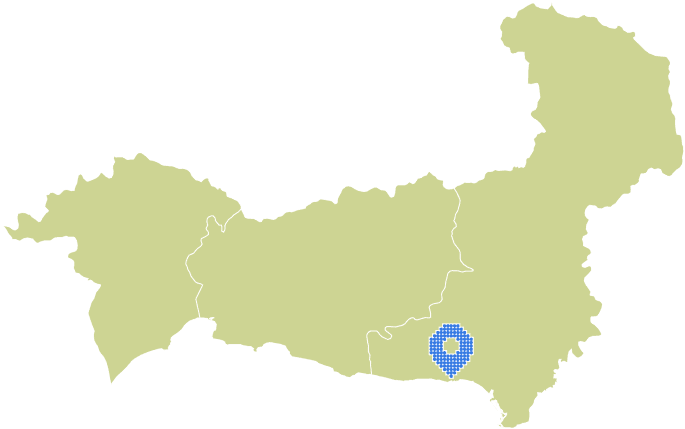 Overview Image